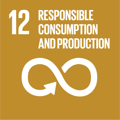 SDG 12: Responsible Consumption